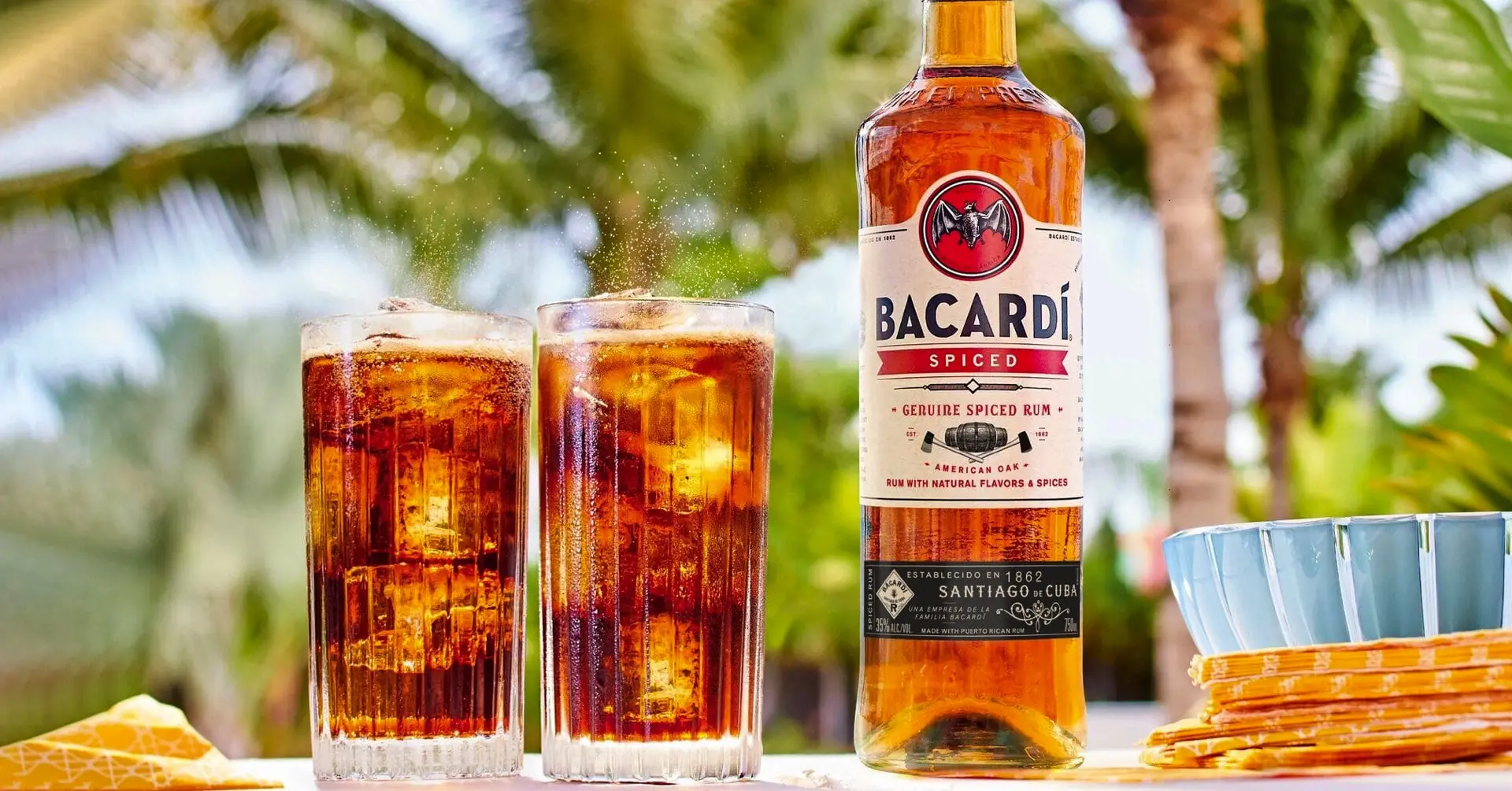 Bacardi Spiced Rum